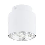 Emibig Luz de techo Nano Acero Blanco | Apta para 1x GU10 (AR111) - Max 12W