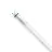 Philips Master Tubo LED T8 (EM/Mains) High Output T8 11.3W 2100lm - 865 Luz De Día | 120cm - Reemplazo 36W