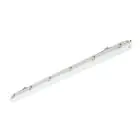 Philips Pantalla LED Estanca Ledinaire WT065C 30/53W 4100/6800lm - 840 Blanco Frio | 150cm